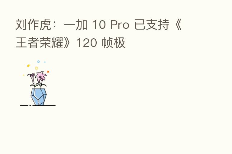 刘作虎：一加 10 Pro 已支持《王者      》120 帧极