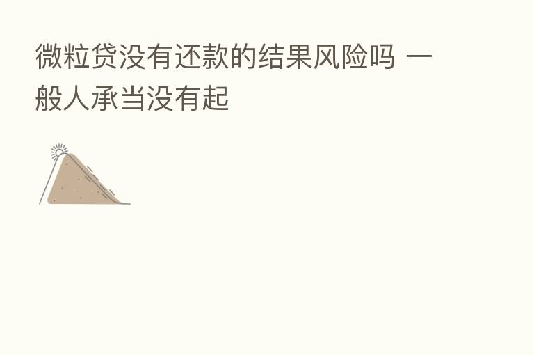 微粒贷没有还款的结果风险吗 一般人承当没有起