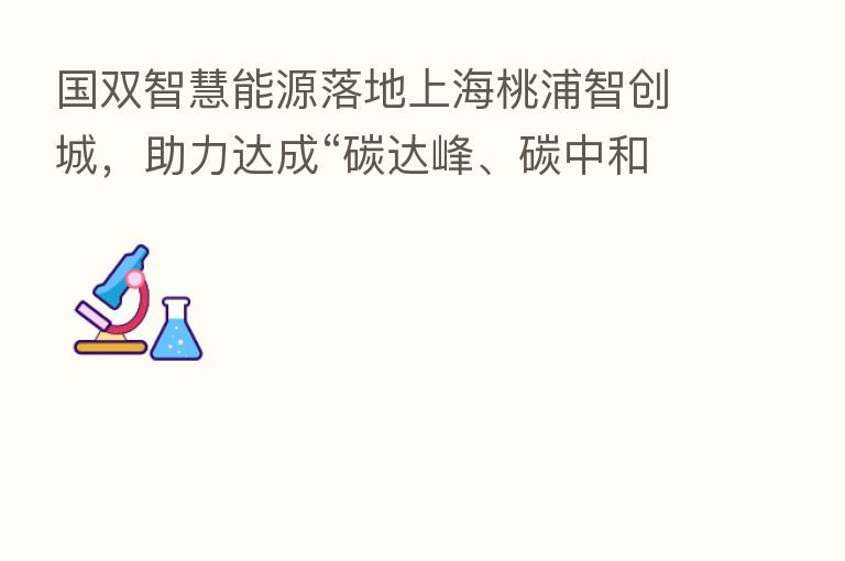 国双智慧能源落地上海桃浦智创城，助力达成“碳达峰、碳中和”目标