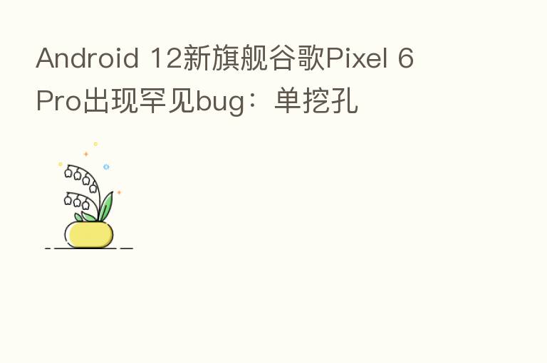 Android 12新旗舰谷歌Pixel 6 Pro出现罕见bug：单挖孔