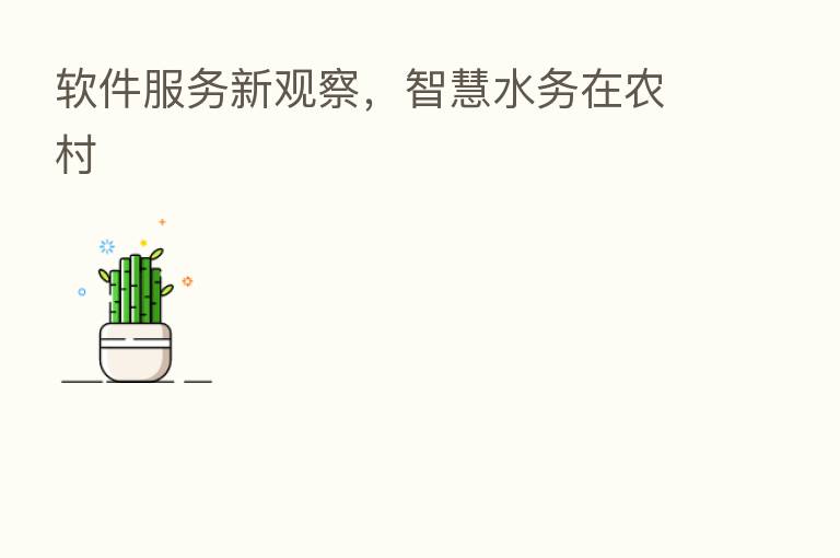 软件服务新观察,智慧水务在农村