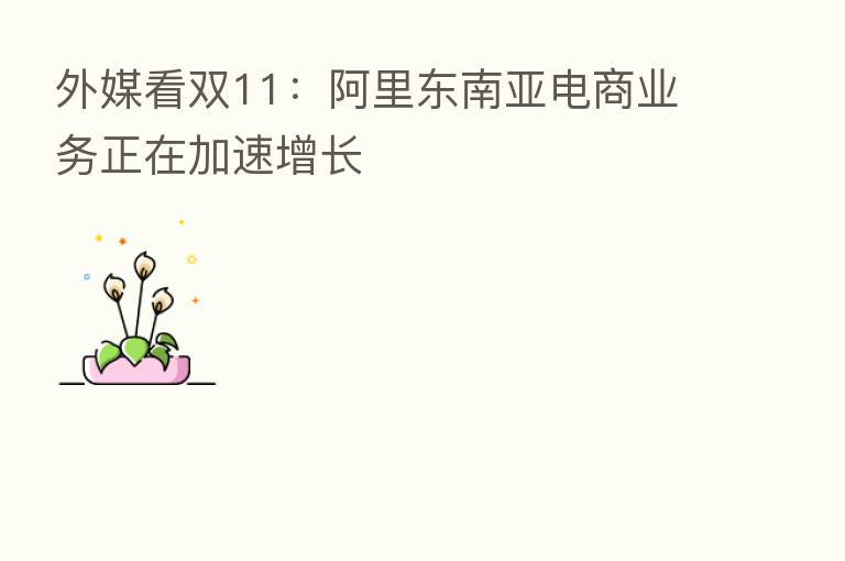 外媒看双11：阿里东南亚电商业务正在加速增长