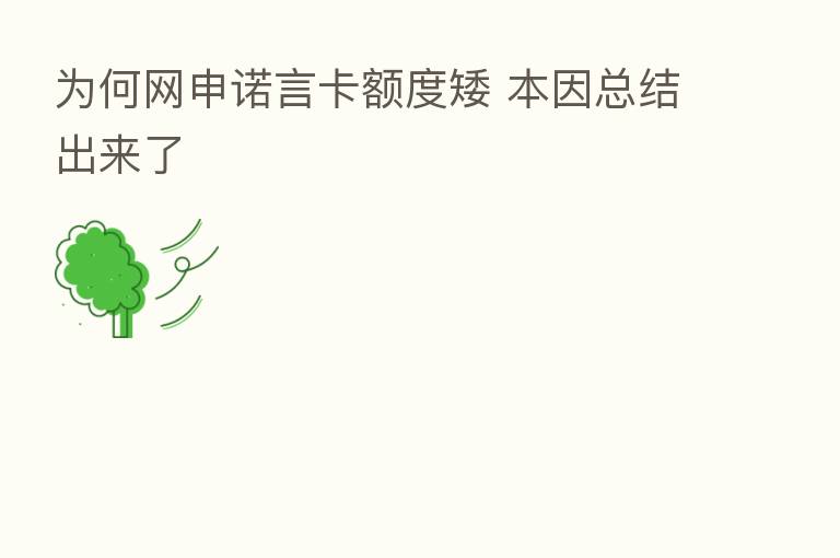 为何网申诺言卡额度矮 本因总结出来了