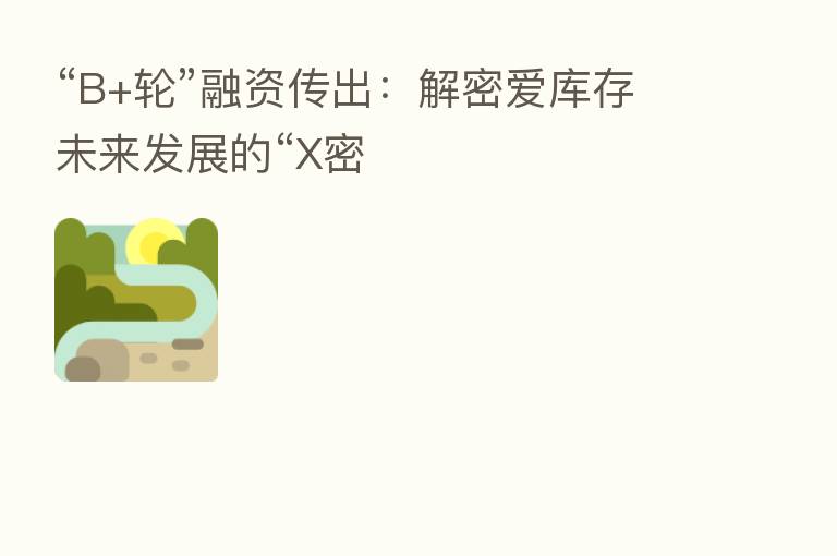 “B+轮”融资传出：解密爱库存未来发展的“X密