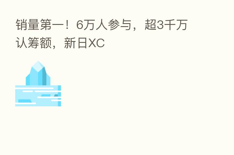 销量 一!6万人参与,超3千万认筹额,新日XC