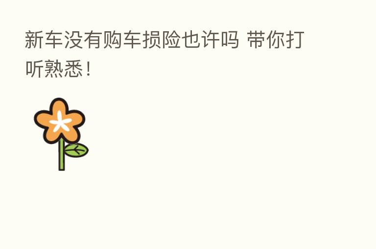 新车没有购车损险也许吗 带你打听熟悉!
