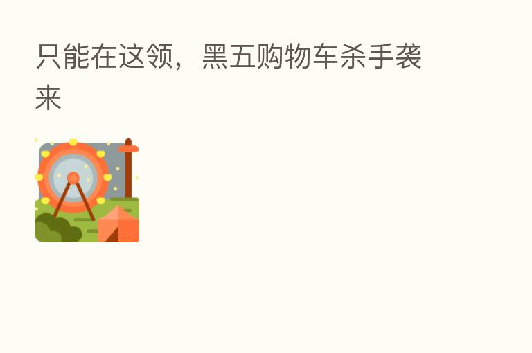 只能在这领,黑五购物车 手袭来