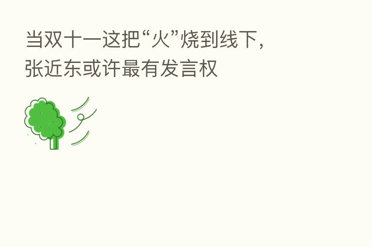 当双十一这把“火”烧到线下,张近东或许 有发言权