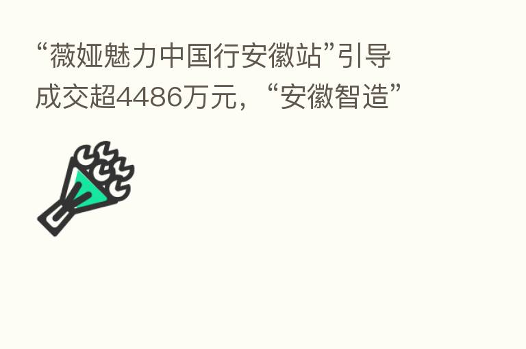 “薇娅魅力中国行安徽站”引导成交超4486万元，“安徽智造”成直播间畅销好物
