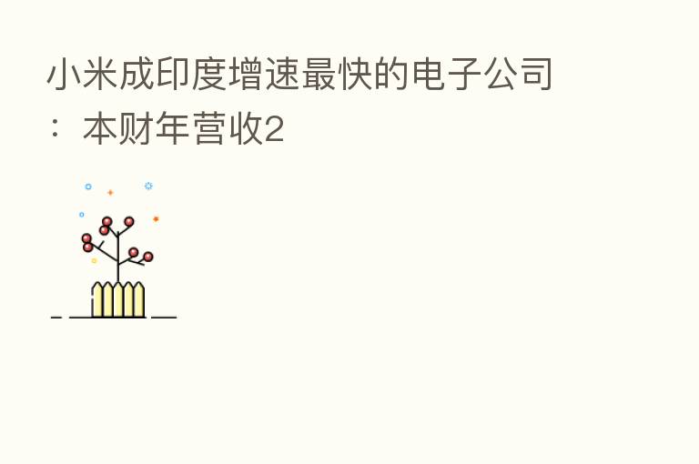 小米成印度增速   快的电子公司：本财年营收2