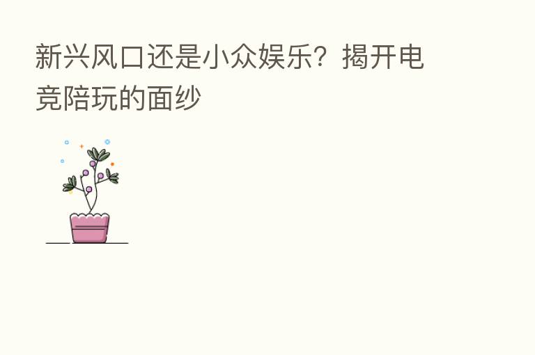 新兴风口还是小众娱乐？揭开电竞陪玩的面纱