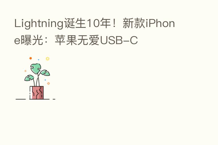 Lightning诞生10年!新款iPhone曝光:苹果无爱USB-C