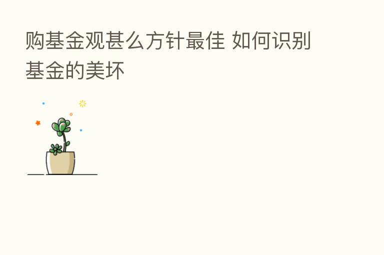 购基金观甚么方针   佳 如何识别基金的美坏