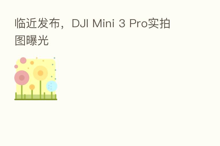 临近发布,DJI Mini 3 Pro实拍图曝光