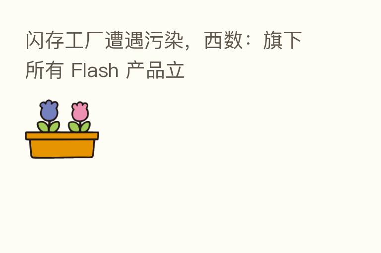 闪存工厂遭遇污染，西数：旗下所有 Flash 产品立