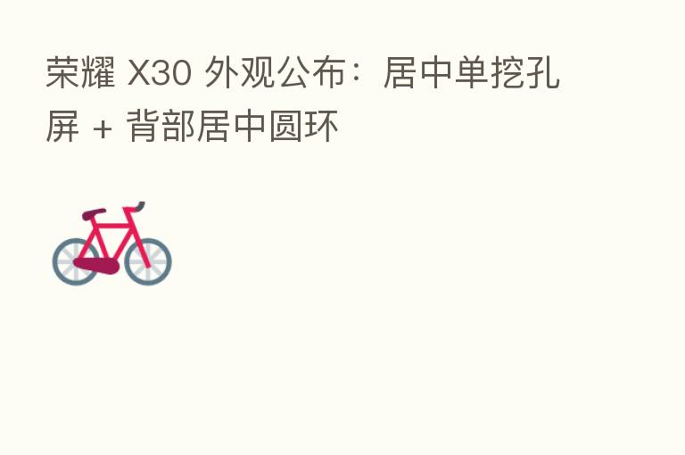 X30 外观公布:居中单挖孔屏 + 背部居中圆环