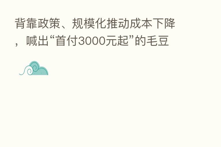 背靠政策、规模化推动成本下降，喊出“首付3000元起”的毛豆新车，价格实现新低！