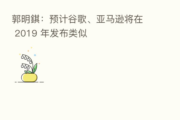 郭明錤:预计谷歌、亚马逊将在 2019 年发布类似