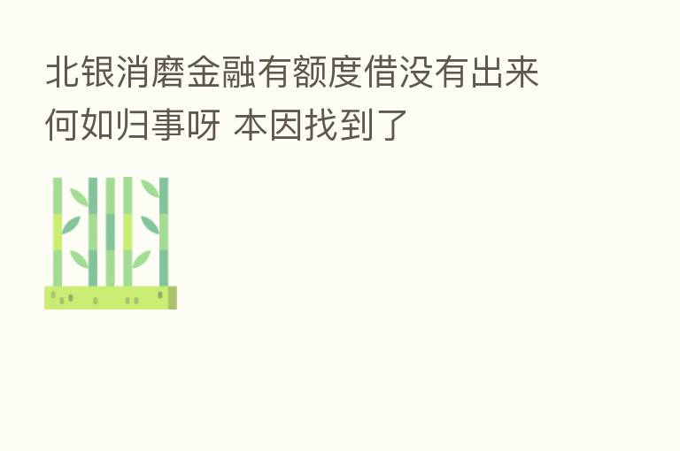 北银消磨金融有额度借没有出来何如归事呀 本因找到了