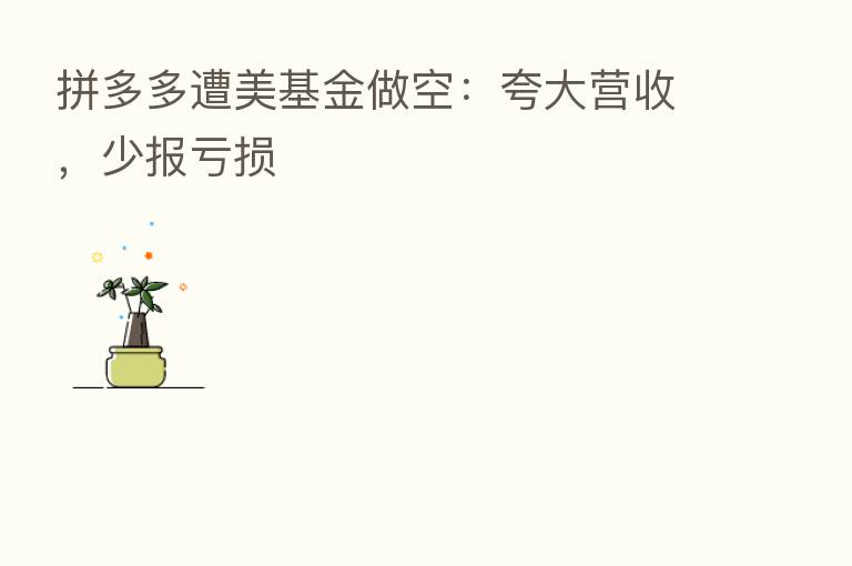 拼多多遭美基金做空:夸大营收,少报亏损