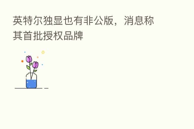 英特尔独显也有非公版,消息称其首批授权品牌