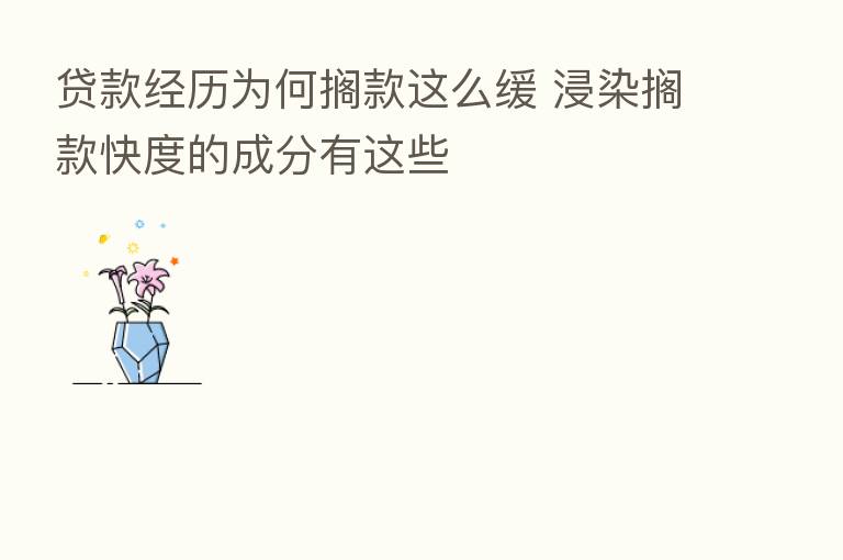 贷款经历为何搁款这么缓 浸染搁款快度的成分有这些