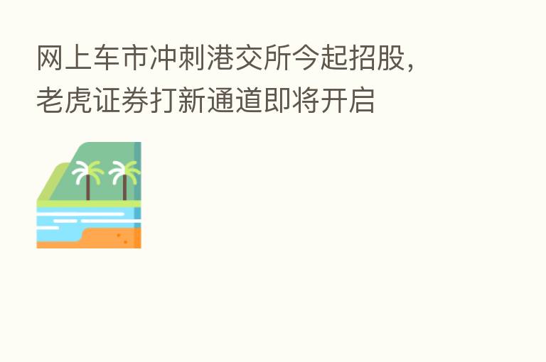 网上车市冲刺港交所今起招股，老虎证券打新通道即将开启