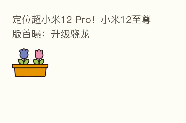 定位超小米12 Pro!小米12至尊版首曝:升级骁龙