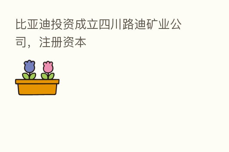 比亚迪投资成立四川路迪矿业公司，注册资本