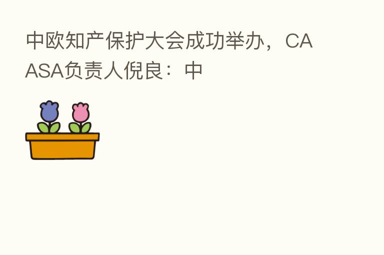 中欧知产保护大会成功举办,CAASA负责人倪良:中