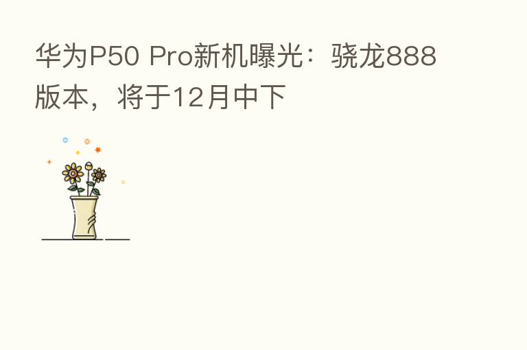 华为P50 Pro新机曝光：骁龙888版本，将于12月中下