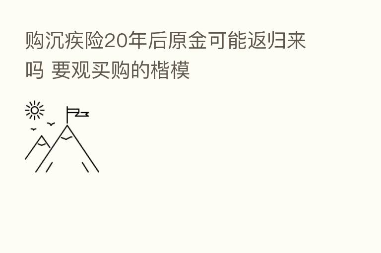 购沉疾险20年后原金可能返归来吗 要观买购的楷模