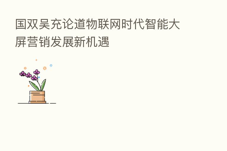 国双吴充论道物联网时代智能大屏营销发展新机遇