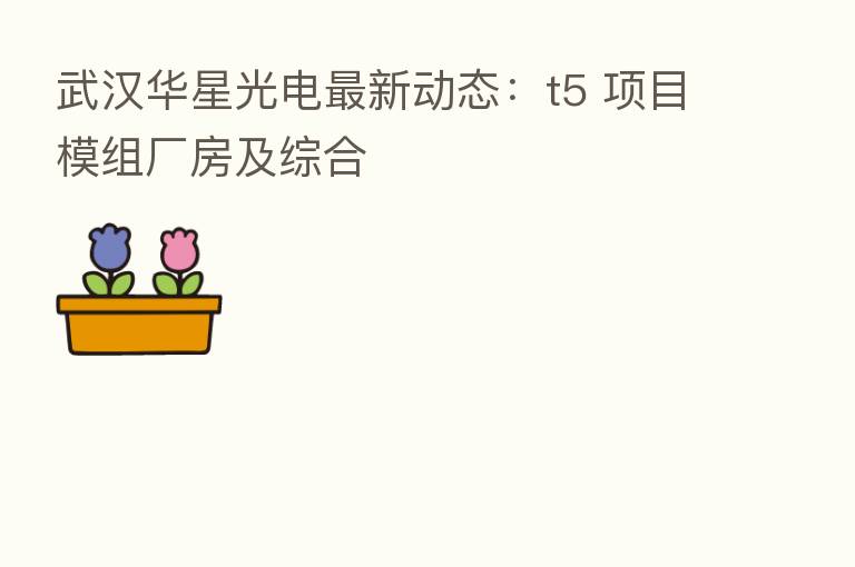 武汉华星光电新   动态：t5 项目模组厂房及综合
