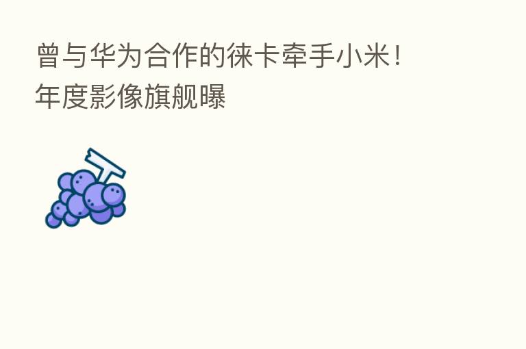 曾与华为合作的徕卡牵手小米!年度影像旗舰曝