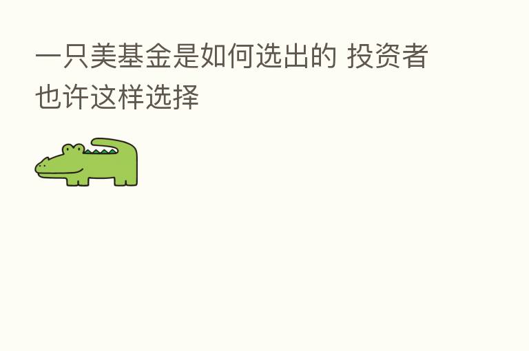一只美基金是如何选出的 投资者也许这样选择