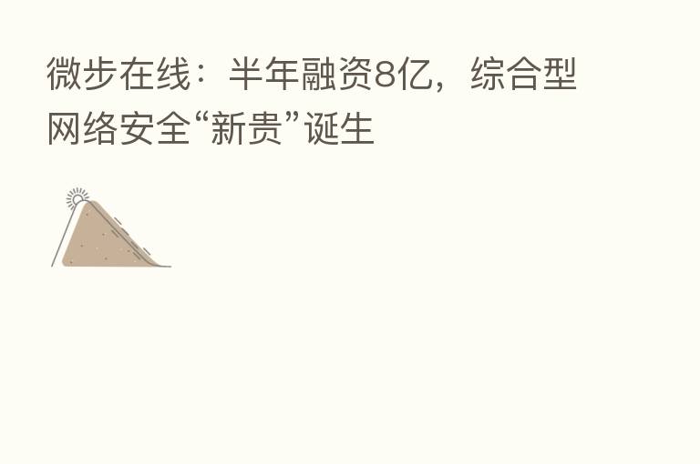 微步在线：半年融资8亿，综合型网络安全“新贵”诞生