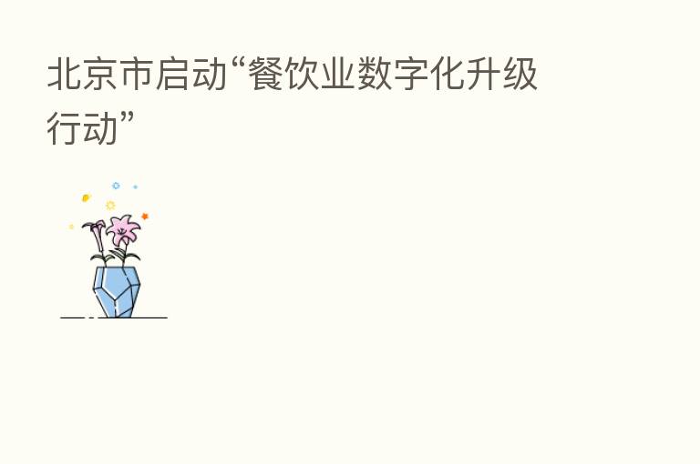 北京市启动“餐饮业数字化升级行动”
