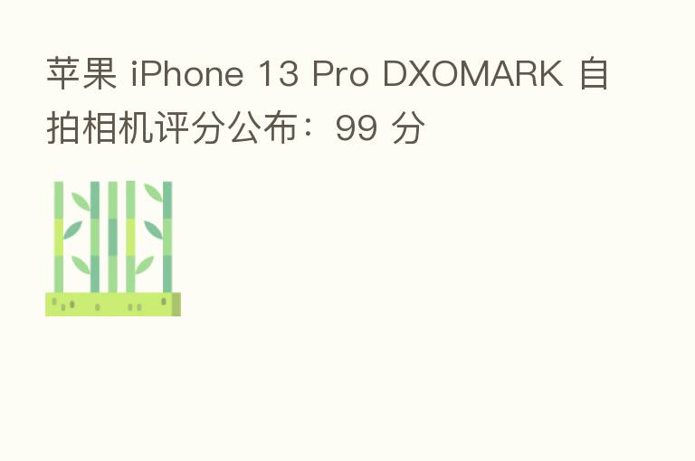 苹果 iPhone 13 Pro DXOMARK 自拍相机评分公布：99 分