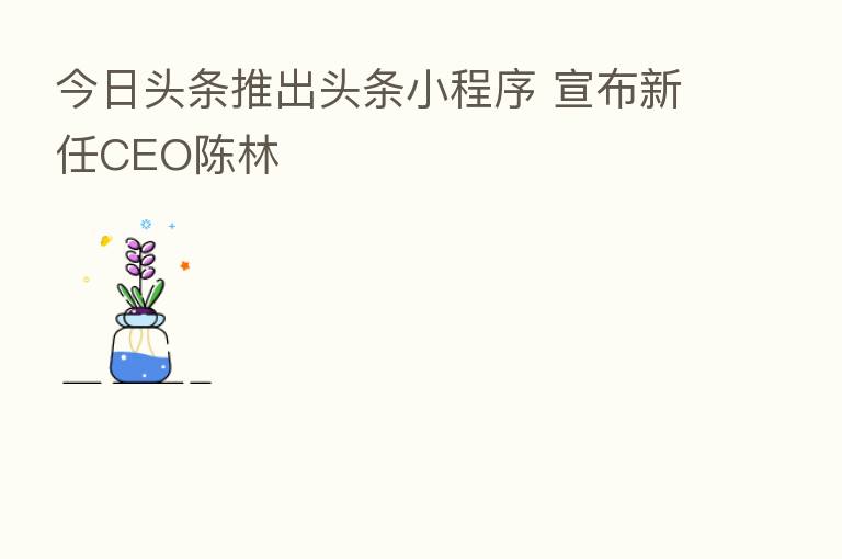 今日头条推出头条小程序 宣布新任CEO陈林