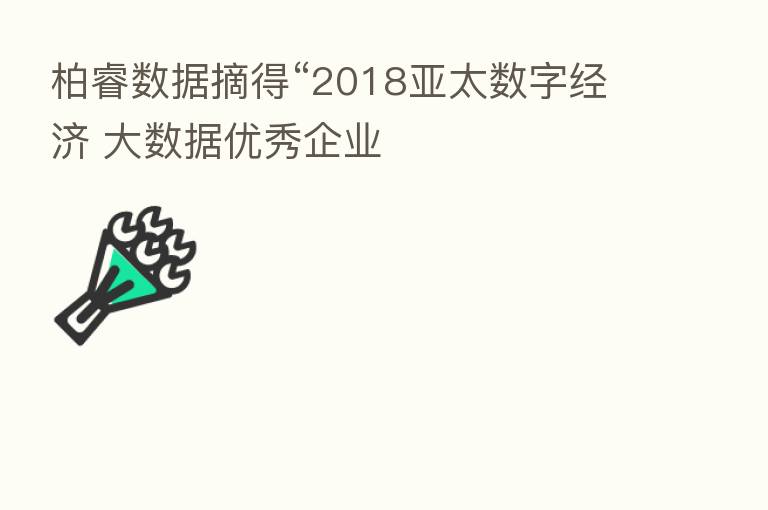 柏睿数据摘得“2018亚太数字经济 大数据优秀企业