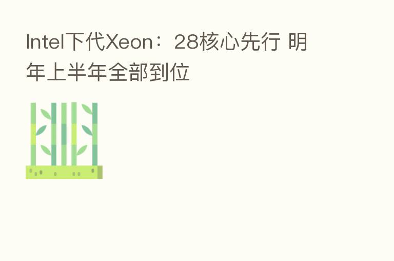 Intel下代Xeon：28核心先行 明年上半年全部到位