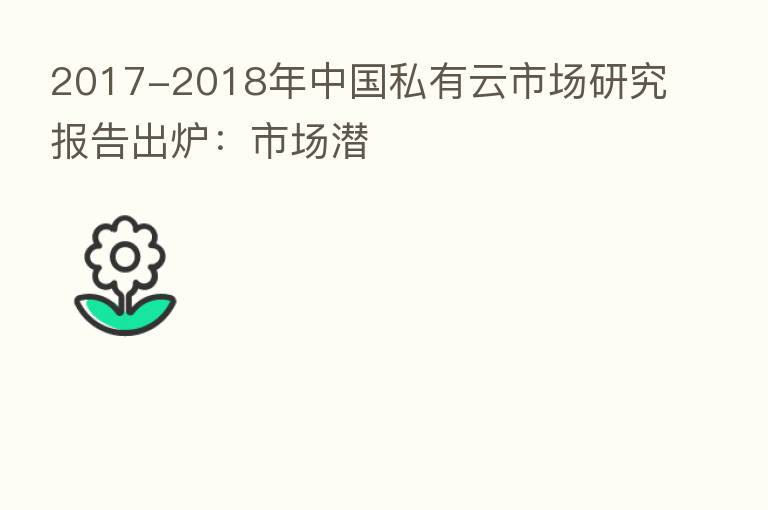 2017-2018年中国私有云市场研究报告出炉：市场潜