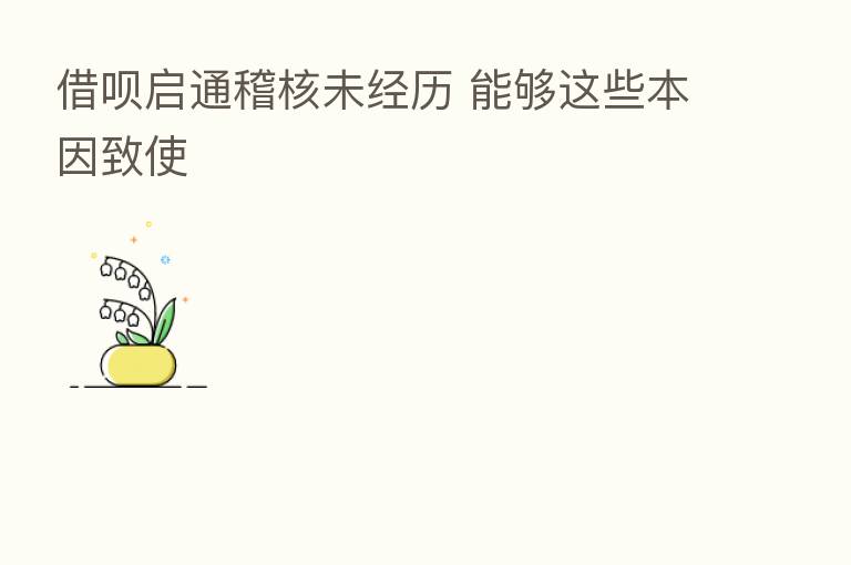 借呗启通稽核未经历 能够这些本因致使