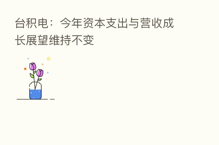 台积电:今年资本支出与营收成长展望维持不变