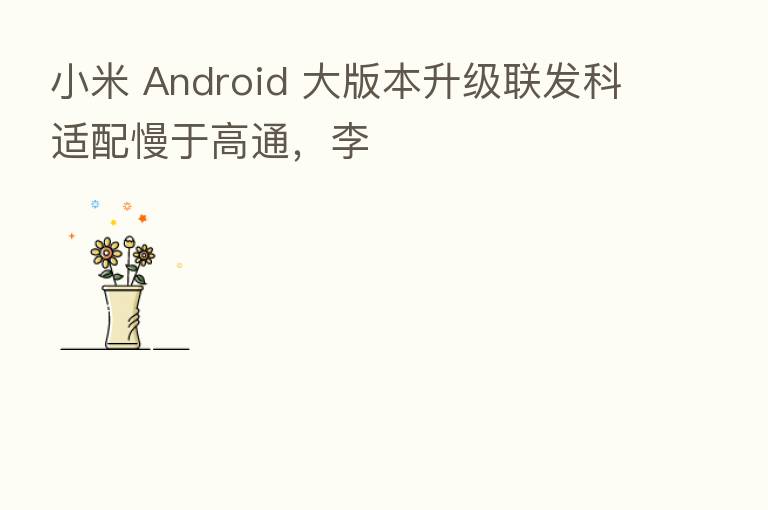 小米 Android 大版本升级联发科适配慢于高通，李