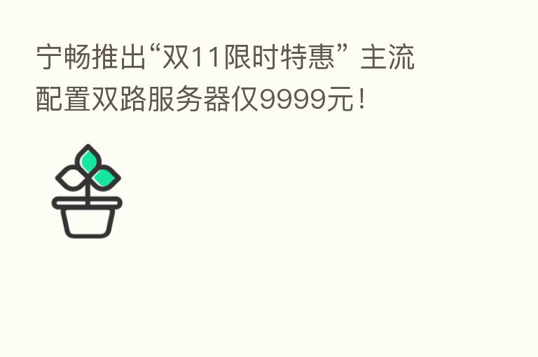 宁畅推出“双11限时特惠” 主流配置双路服务器仅9999元！