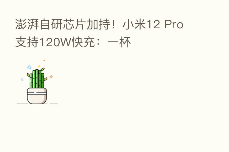 澎湃自研芯片加持！小米12 Pro支持120W快充：一杯