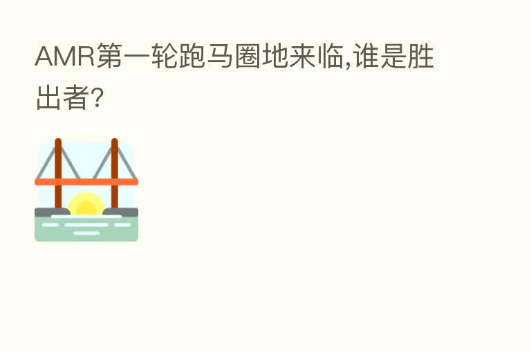 AMR 一轮跑马圈地来临,谁是胜出者?