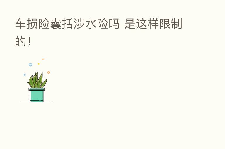 车损险囊括涉水险吗 是这样限制的!
